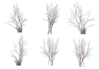Trees and mountains in winter on a white background with clipping paths.