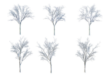Obraz premium Trees and mountains in winter on a white background with clipping paths.
