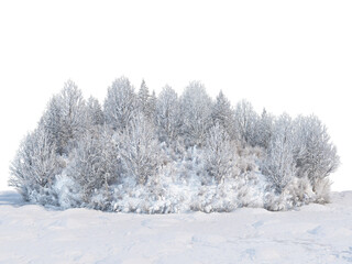 Trees and mountains in winter on a white background with clipping paths.