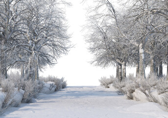 Trees and mountains in winter on a white background with clipping paths.