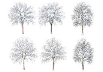 Trees and mountains in winter on a white background with clipping paths.