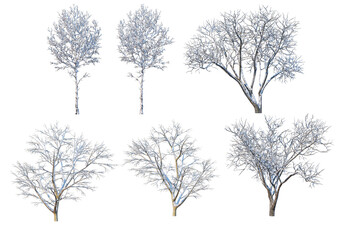 Trees and mountains in winter on a white background with clipping paths.