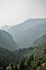 Vertical aerial view of lush green forests in the valley surrounded by mountains