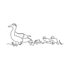 Continuous line drawing Duck and ducklings. Isolated sketch on white background. Vector illustration