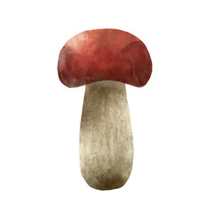 Autumn forest mushroom, watercolor illustration isolated on white background.