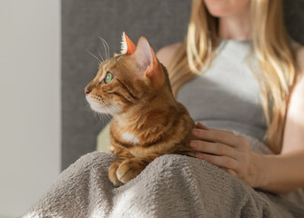 The cat is located on the lap of its owner, sitting on the bed.