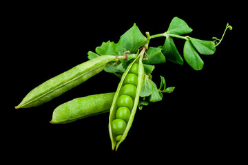 Green peas isolated on black background.