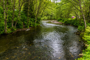 Naklejka premium A view of the upper reach of the main salmon stream in Ketchikan, Alaska in summertime