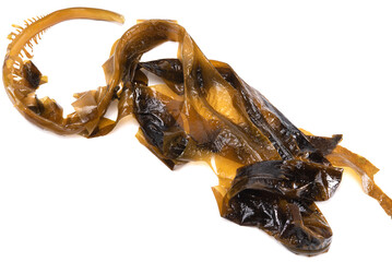 Laminaria (Kelp) Seaweed Isolated on White Background.Fresh seaweed wakame