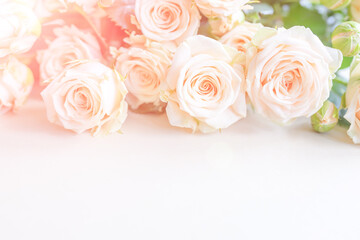 light beige roses flower bouquet on white background top view.