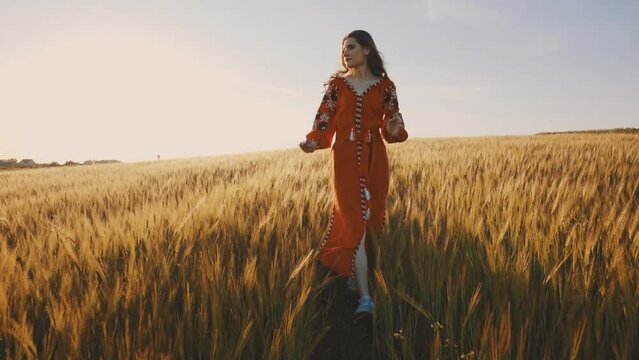 4k shot of young beautiful woman wearing ukrainian traditional embroidered dress in wheat field during sunset. Stand with Ukraine