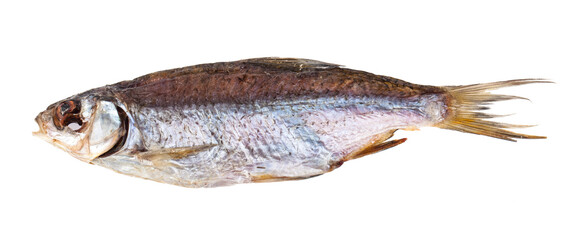 Dried fish isolated on white background.