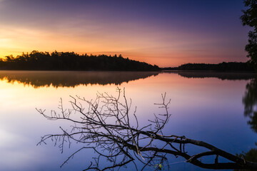 Fallen tree at sunrise over the lake 