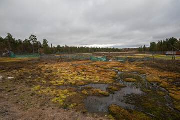 Autumn Landscape in Sami Village, Murmansk, Russia