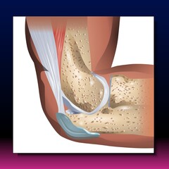 Fototapeta premium Elbow