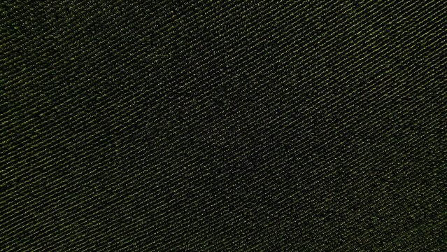 Overhead drone shot of rows of corn on a farm
