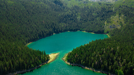blue lake in the spruces forrest in zabliak, durmitor