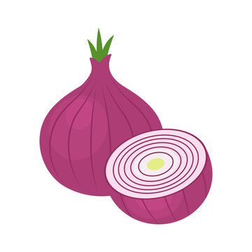 Red onions isolated on white background. Whole purple onion bulb and half. Allium cepa. Vector vegetables illustration in flat style.