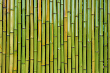Bamboo wall texture for background