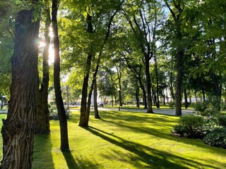 Obraz premium path in the park