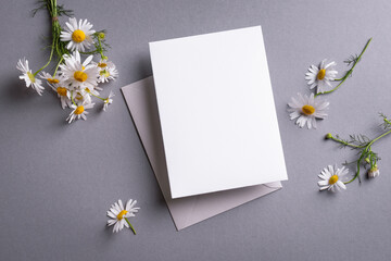 Blank card and daisy flowers