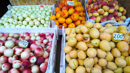 Fresh fruits. Yellow orange peaches nectarines plums apricots on supermarket shelves. Retail industry. Local Farmers market. Discount. Rising food prices. Rich harvest. Grocery store. Shopping sale.