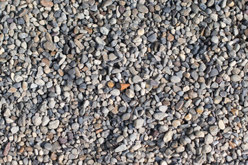 Fragment of a path made of small gray round stone