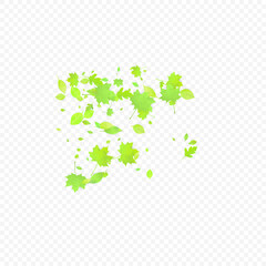 Fototapeta premium Leaves Falling Spring Flying Foliage Green Leaf