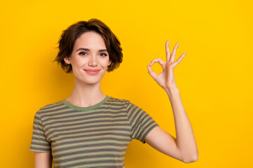 Portrait of young smiling lady hold okey symbol good mood done exams isolated on yellow color background