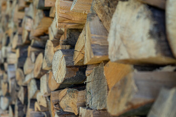 Stacks of Firewood. Preparation of firewood for the winter. Pile of Firewood.Firewood background