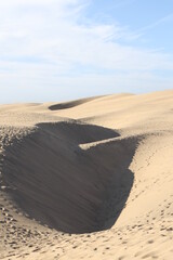 Sand dunes closeup poster print desert trees 