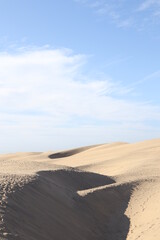 Fototapeta na wymiar Sand dunes closeup poster print desert trees 