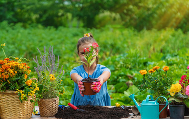 The child is planting flowers in the garden. Selective focus.