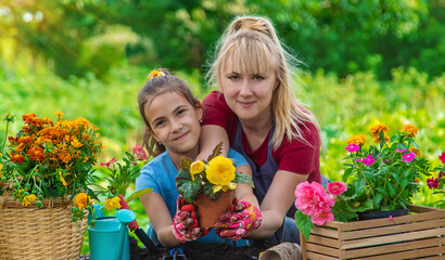 A child with her mother is planting flowers in the garden. Selective focus.