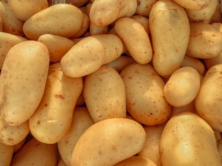 Fresh potatoes close-up, a healthy eating concept