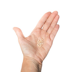 Pile of wildflower seeds in palm of hand. Lupin Pink fairy seeds harvested or collected from pods. ready to store over winter. Group of small yellow flower seeds. Isolated on white. Selective focus.