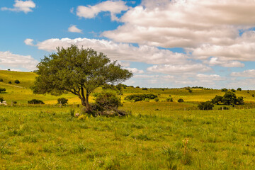 Uruguay countryside landscape