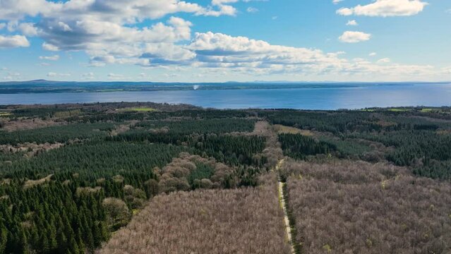 Aerial Video of Randalstown Forest on Lough Neagh Co Antrim Northern Ireland