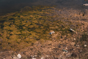 plastic bottle in the swamp, polluted pond, moss covered pond, environmental pollution