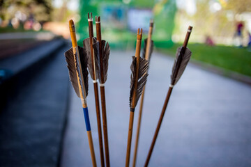 arrows on a blurred background. close-up photo