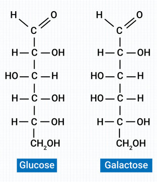 Chemical structure of Glucose and Galactose