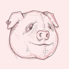 Pig head sketch hand draw style