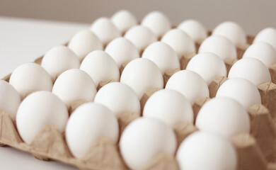 Close Up of raw chicken eggs in paper egg tray on white background. Group of Fresh white Eggs in a cardboard cassette. Organic food from nature good for health.