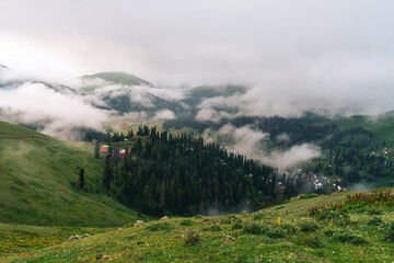 Beautiful mountain landscape with green grass, trees in the clouds early in the morning. Bakhmaro, Georgia