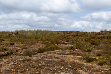 Stony Landscape of the Bokkeveld Plateau in the Northern Cape of South Africa