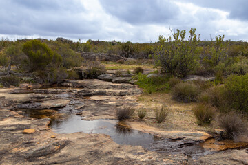 Naklejka na ściany i meble Small Water Pools on the Bokkeveld Plateau in the Northern Cape of South Africa