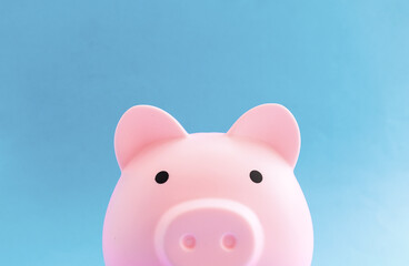 pink piggy bank on blue paper background