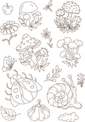 Mushroom stickers insects snail forest hand drawn set of separate elements cute cartoon coloring doodle