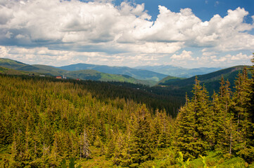 The width of the Dragobrat tract in the Carpathian Mountains is covered with coniferous forests against a blue sky with thick white clouds.