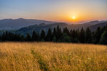 Naklejka na ściany i meble Lanscape view of yellow green meadow on the hill with mountains in the background before sunset
